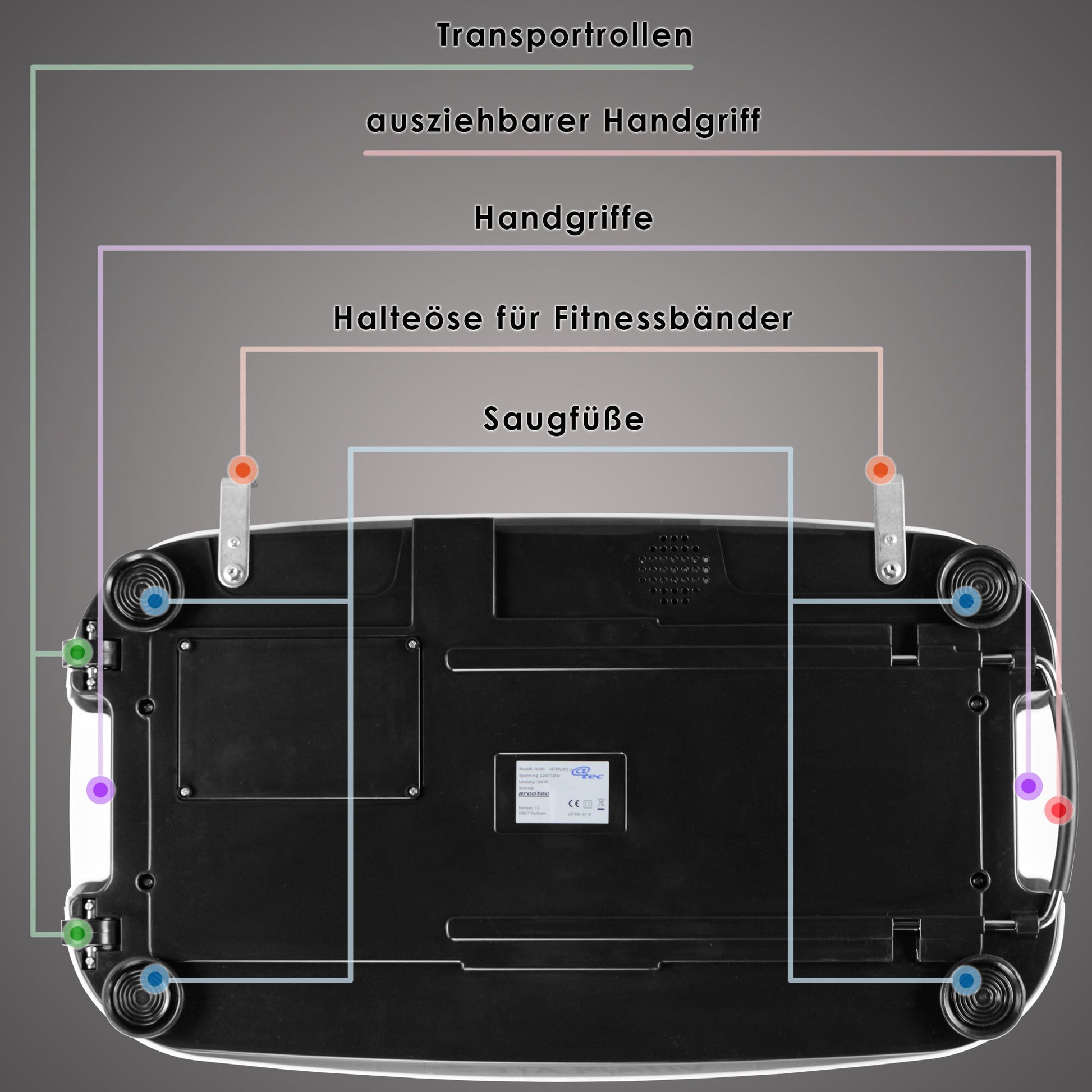 Vibrationsplatte VitaPlate SE - klein und stark